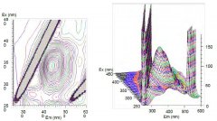 通過3D熒光光譜判斷香蕉的成熟度