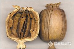 島津應(yīng)用：罌粟殼生物堿的檢測(cè)方案