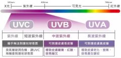 本周末高溫預警！我們今天聊聊紫外線